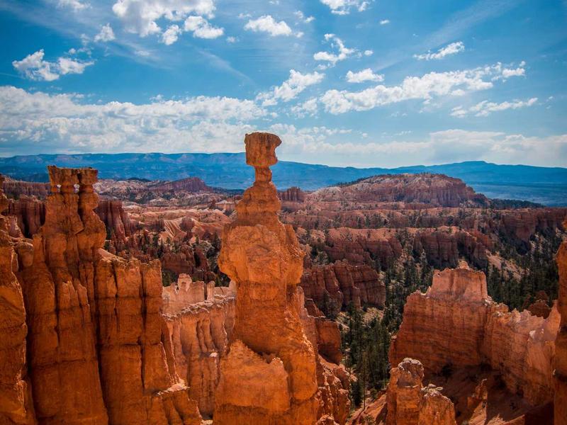 android screenshot 4